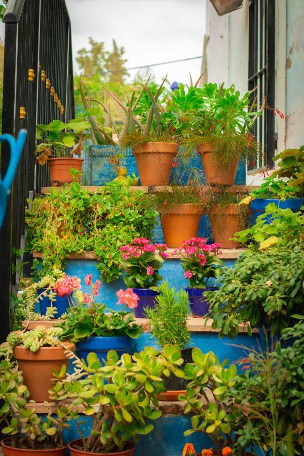 Bohemian Villa - Malaga 埃尔乔罗 外观 照片