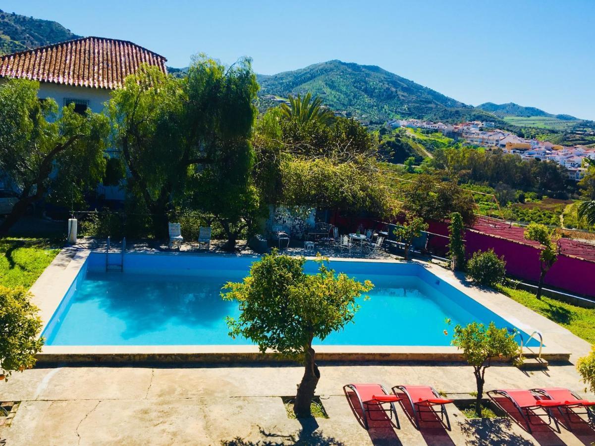 Bohemian Villa - Malaga 埃尔乔罗 外观 照片