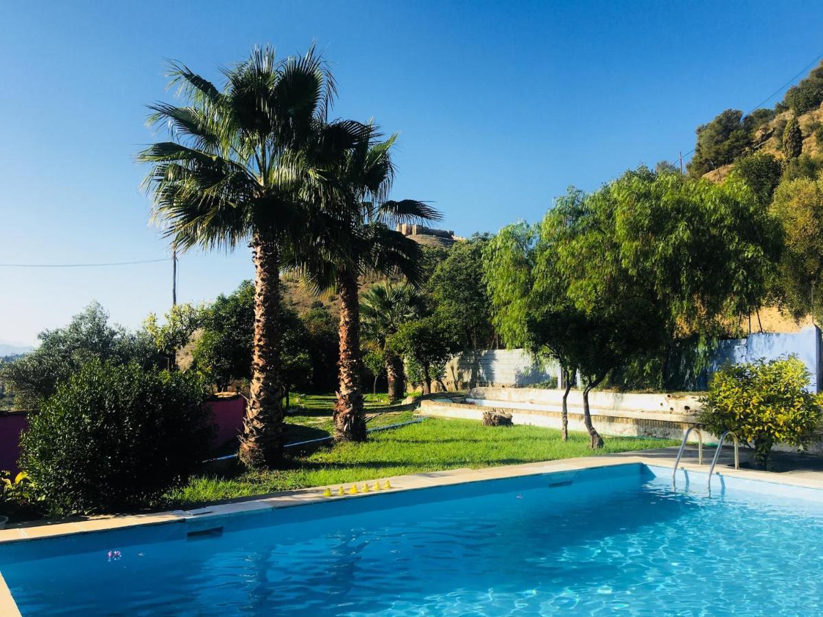 Bohemian Villa - Malaga 埃尔乔罗 外观 照片